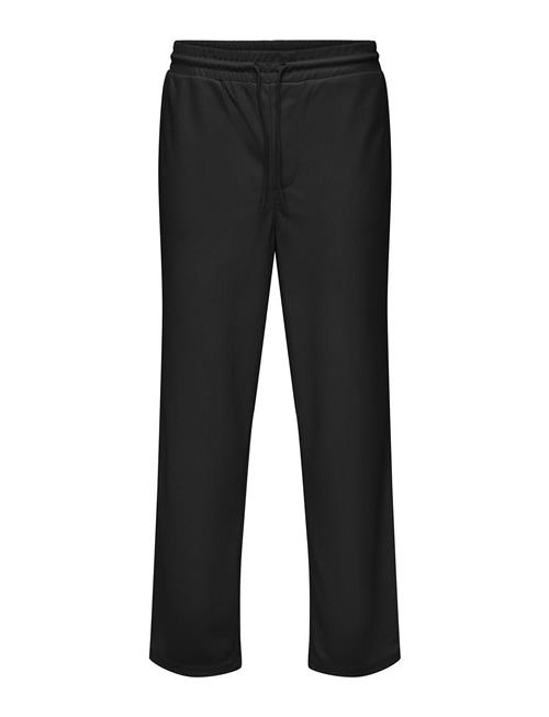 ONLY & SONS Onssinus Life Loose Plizze Pant ONLY & SONS Black