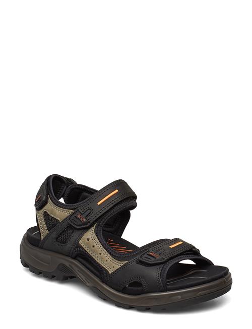 Se ECCO Offroad ECCO Black ved Booztlet