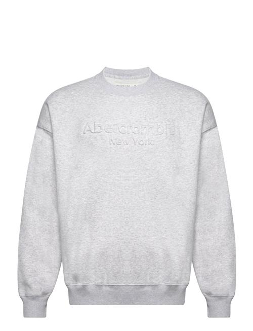 Abercrombie & Fitch Anf Mens Sweatshirts Abercrombie & Fitch Grey