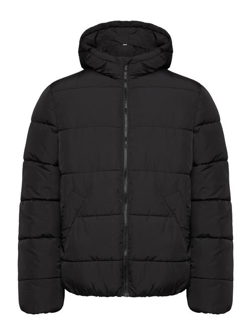 Selected Homme Slhlance Heavy Puffer Jacket Selected Homme Black