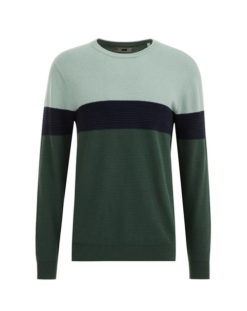 WE Fashion Pullover  grøn / mint / sort