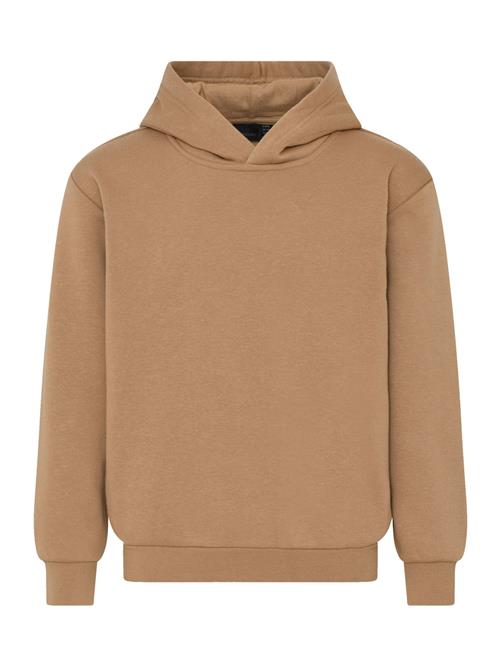 Se Kabooki Pullover 'SHAYNE 100'  brun ved About You