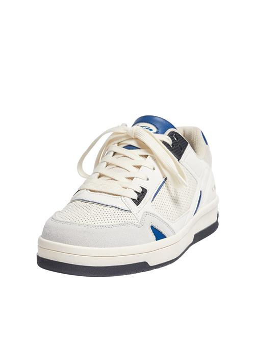 Pull&Bear Sneaker low  ensian / lysegrå / sort / æggeskal