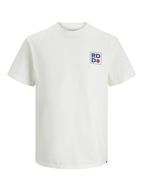 R.D.D. ROYAL DENIM DIVISION Bluser & t-shirts 'Aaron'  blå / rød / hvid