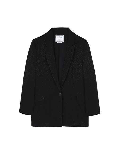 Scalpers Blazer  sort