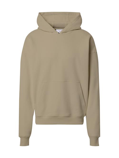 DAN FOX APPAREL Sweatshirt 'Dean'  mørkebeige