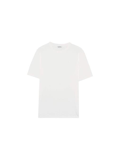 Scalpers Bluser & t-shirts  offwhite