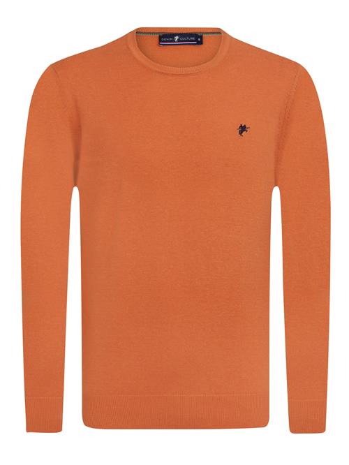 DENIM CULTURE Pullover ' Manno'  mørkeorange / sort