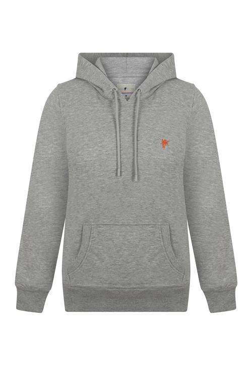 Se DENIM CULTURE Sweatshirt 'Zenaida'  grå-meleret / rustrød ved About You