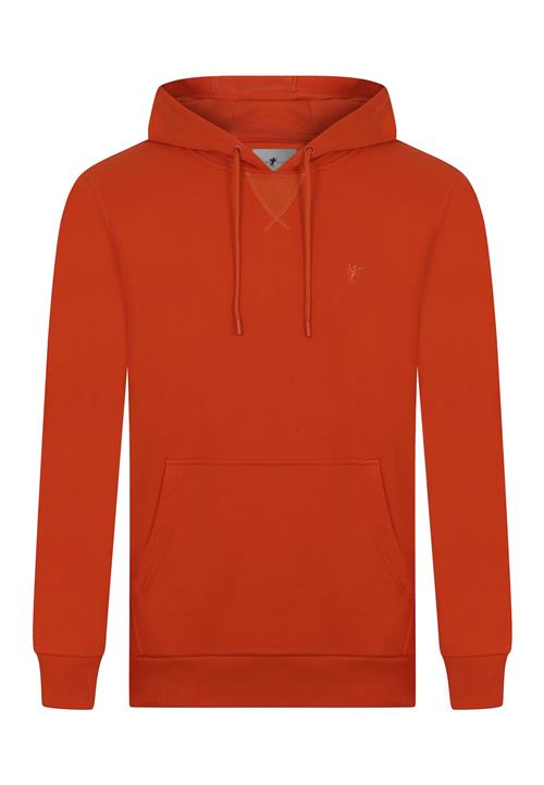 DENIM CULTURE Sweatshirt  orange