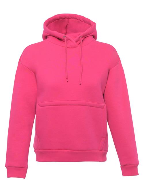 FRESHLIONS Sweatshirt ' Balina '  pink