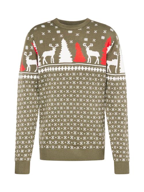 Se Denim Project Pullover 'X-MAS DEER'  grøn / orange / hvid ved About You