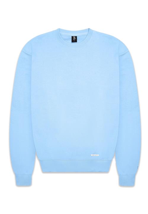 Dropsize Sweatshirt  lyseblå