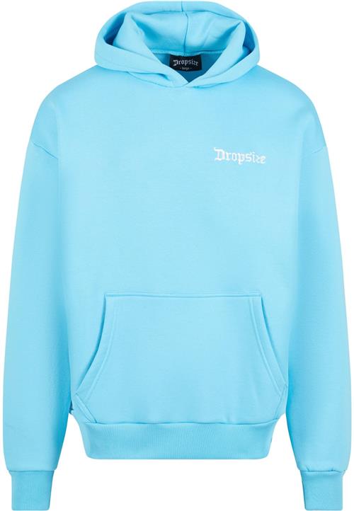 Dropsize Sweatshirt  lyseblå