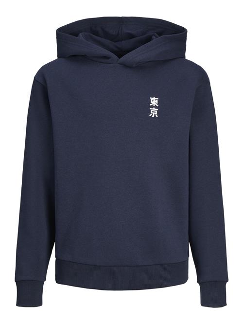 Jack & Jones Junior Pullover  blandingsfarvet / sort