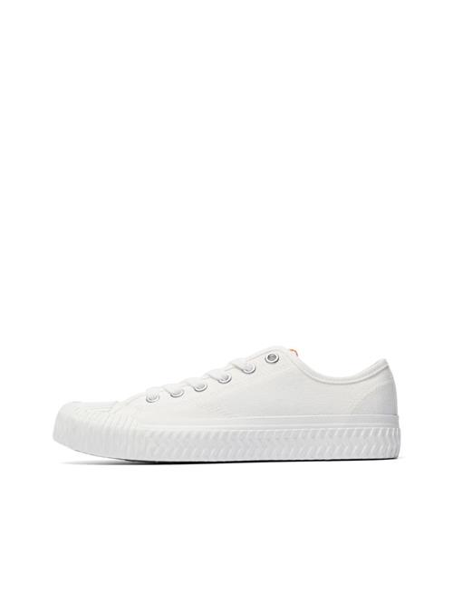 Bianco Sneaker low  hvid