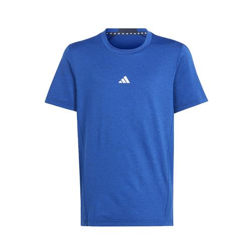 ADIDAS SPORTSWEAR Funktionsskjorte  ensian / hvid