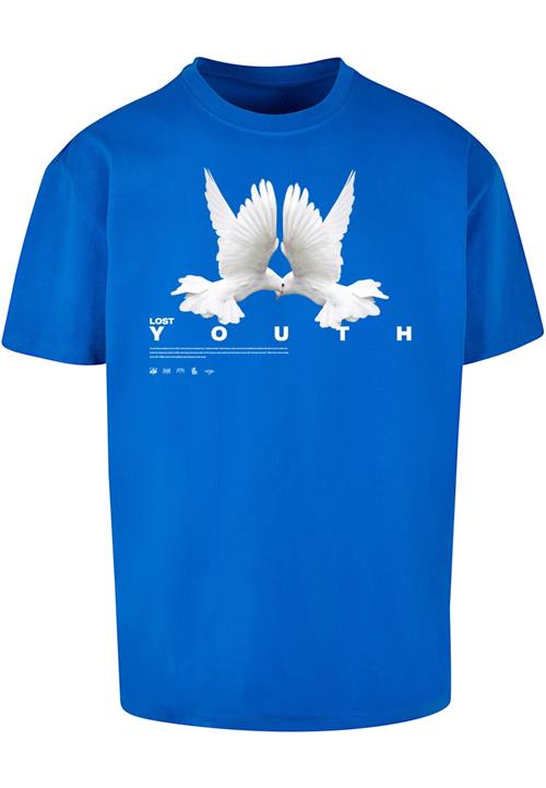 Se Lost Youth Bluser & t-shirts 'Dove'  royalblå / grå / hvid ved About You