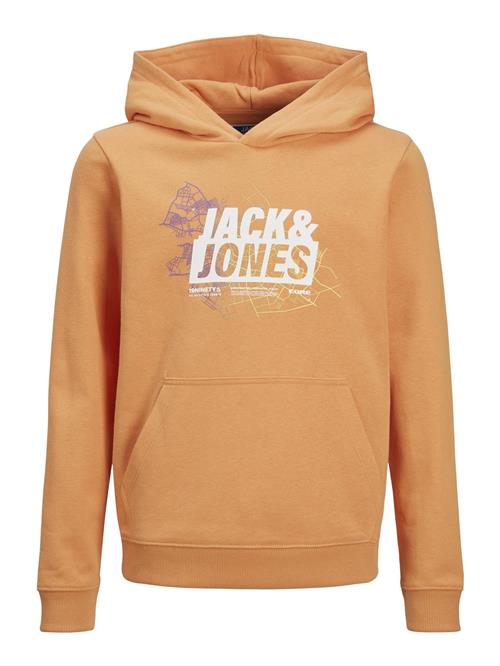 Jack & Jones Junior Sweatshirt 'Map'  gul / lyselilla / mørkeorange / hvid