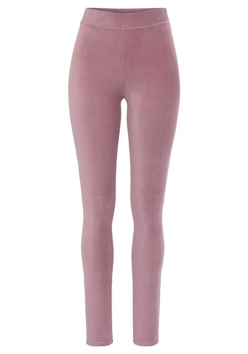 LASCANA Leggings  lilla / pink