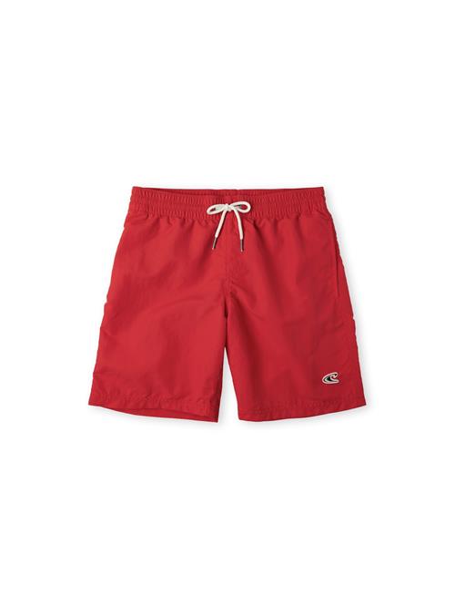 O'NEILL Badeshorts 'Vert'  rød