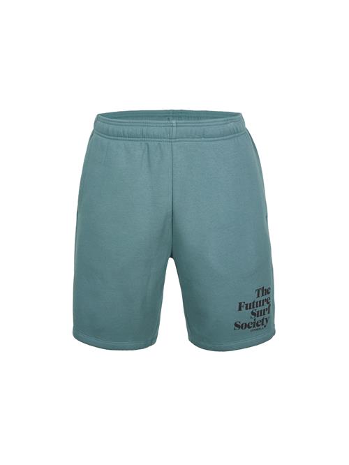 O'NEILL Boardshorts 'Future Surf'  petroleum / sort