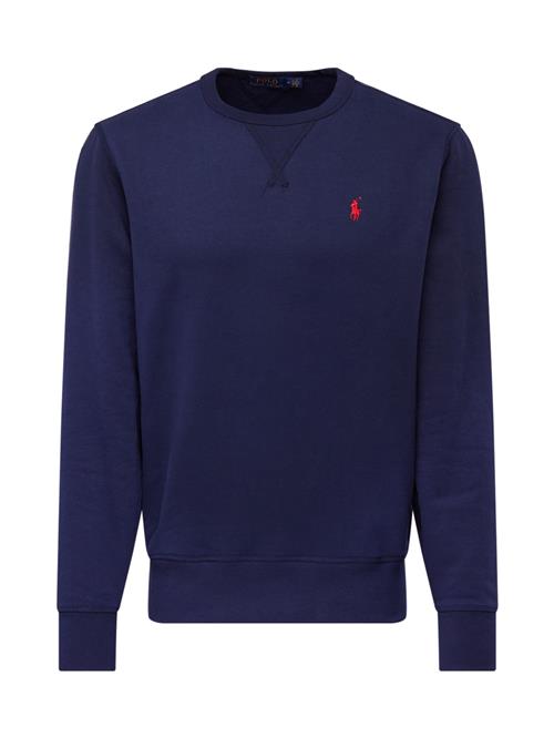 Polo Ralph Lauren Sweatshirt  navy / rød