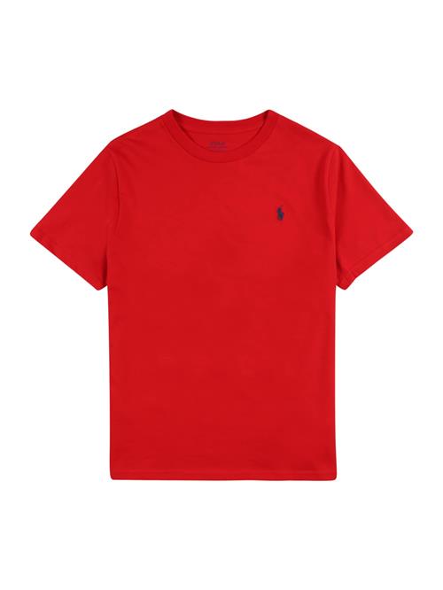 Polo Ralph Lauren Bluser & t-shirts  mørkeblå / rød