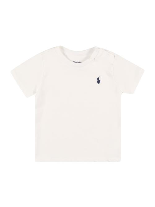 Polo Ralph Lauren Shirts  marin / hvid