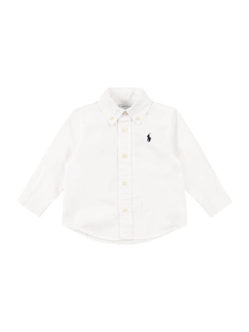 Polo Ralph Lauren Skjorte  navy / hvid