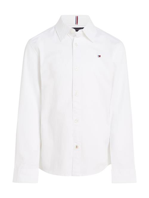 TOMMY HILFIGER Skjorte  ultramarinblå / rød / hvid