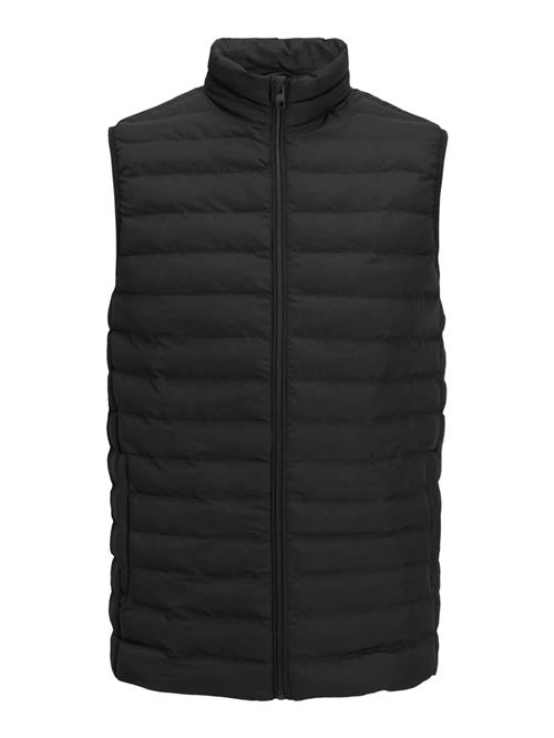 JACK & JONES Vest  sort