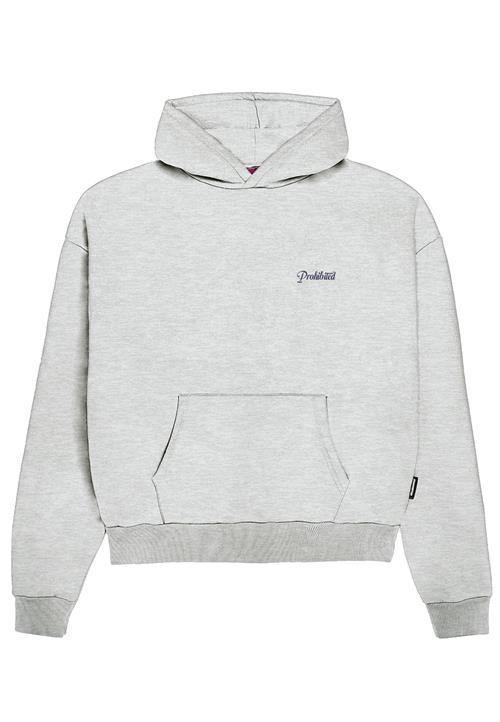 Prohibited Sweatshirt  mørkeblå / grå-meleret