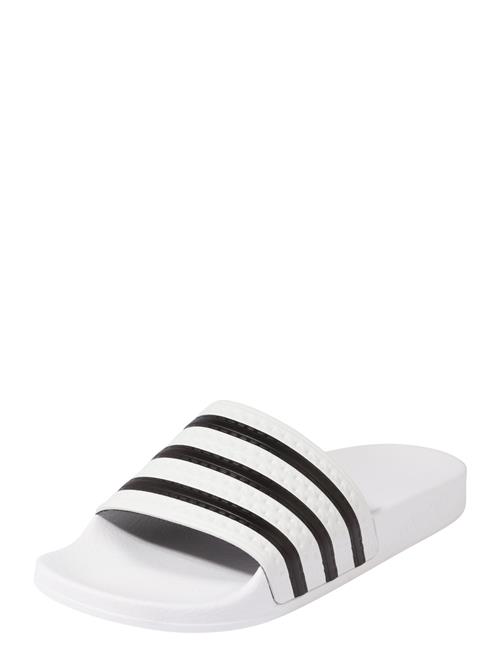 Se ADIDAS ORIGINALS Pantoletter 'Adilette'  sort / hvid ved About You