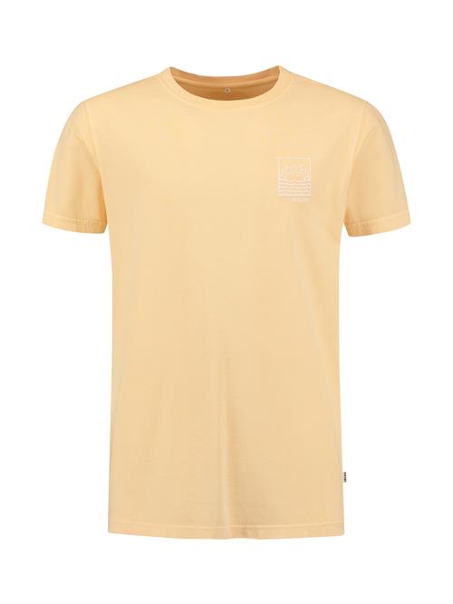 Shiwi Bluser & t-shirts  pastelorange / hvid