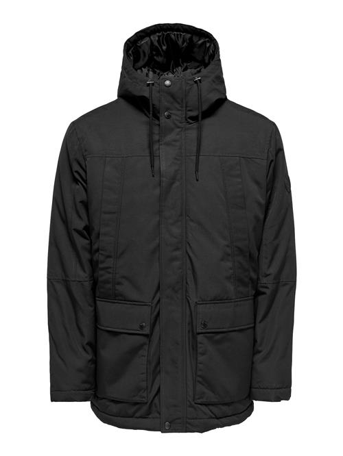 Only & Sons Vinterparka 'Jayden'  sort