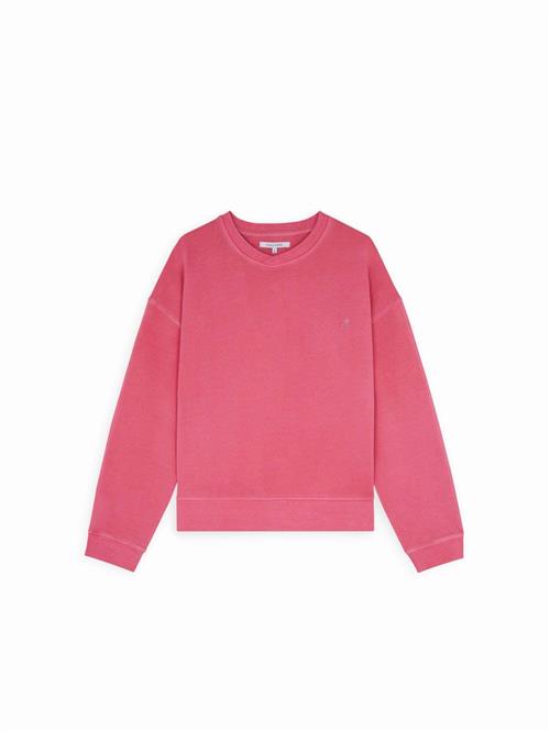 Scalpers Sweatshirt  pitaya