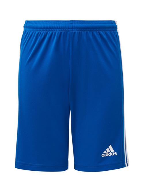 Se ADIDAS PERFORMANCE Sportsbukser 'Squadra 21'  blå / hvid ved About You