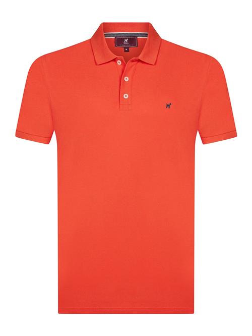 Williot Bluser & t-shirts  lyseorange