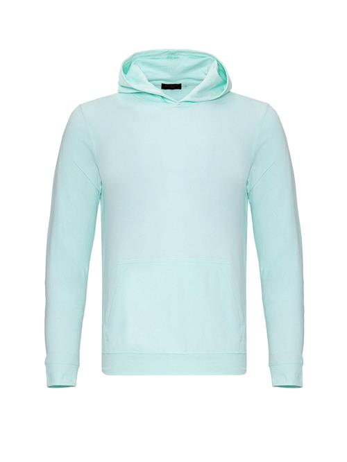 By Diess Collection Sweatshirt  mint