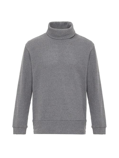 Antioch Pullover  grå