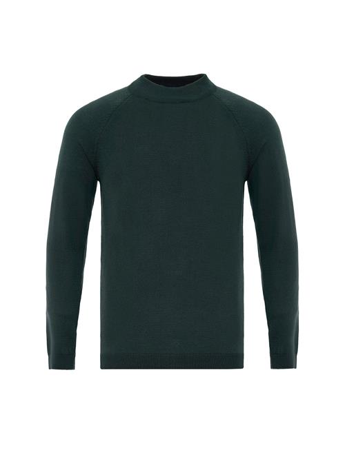 Antioch Pullover  grøn