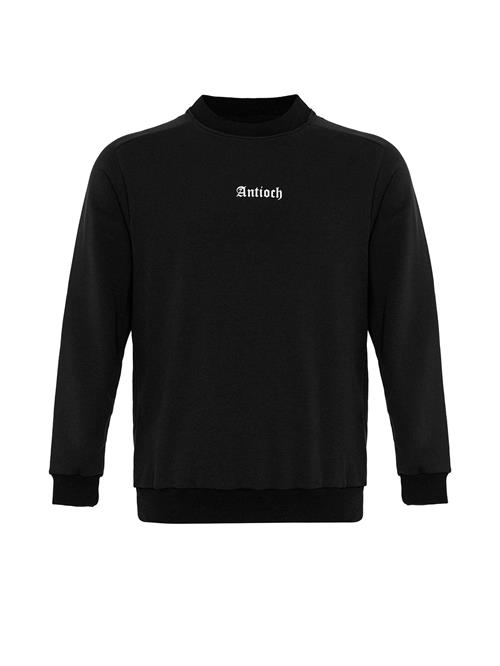 Se Antioch Sweatshirt  sort / hvid ved About You