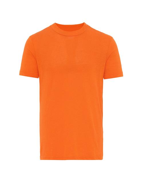 Se Antioch Bluser & t-shirts  orange ved About You