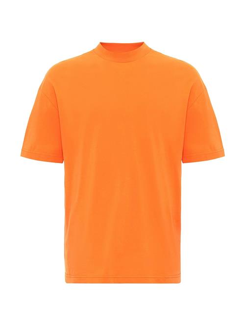 Antioch Bluser & t-shirts  orange