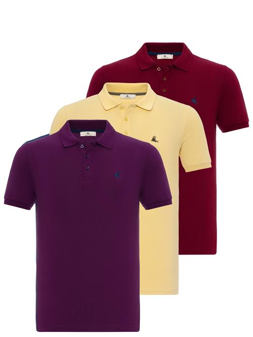 Se Daniel Hills Bluser & t-shirts  ensian / pastelgul / antracit / aubergine / bordeaux ved About You