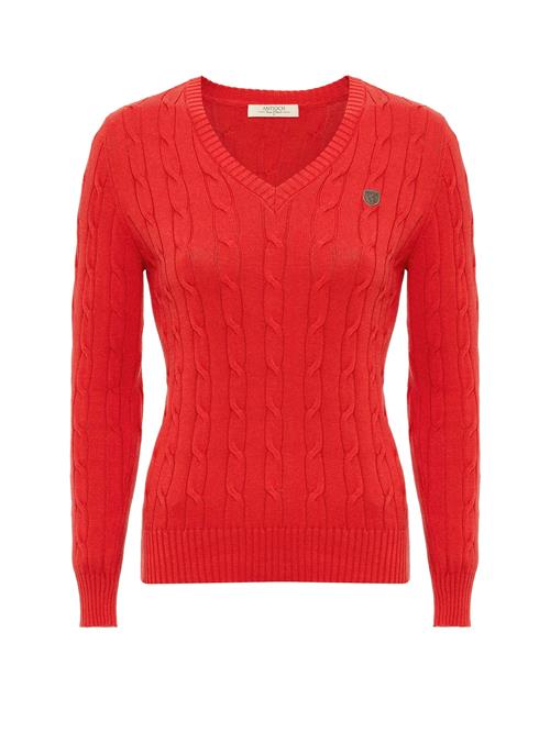 Antioch Pullover  brun / rød