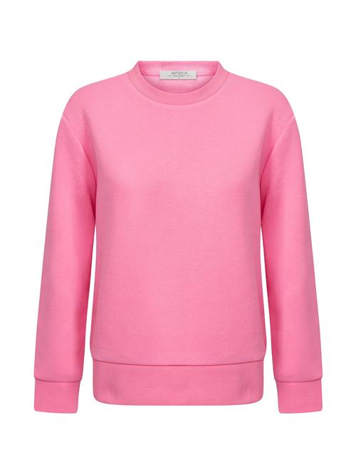 Antioch Sweatshirt  lys pink