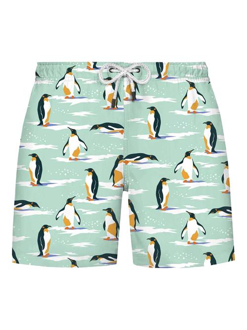 WESTMARK LONDON Badeshorts  mint / blandingsfarvet