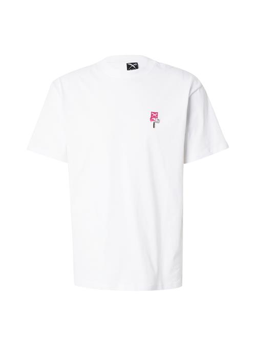 Iriedaily Bluser & t-shirts 'Flag Roller'  grå / pink / sort / hvid